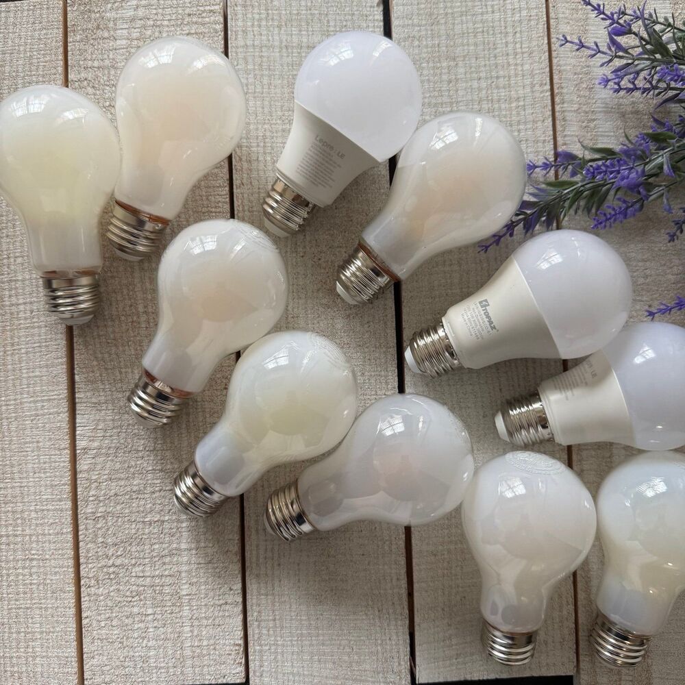 Light Bulb Bundle